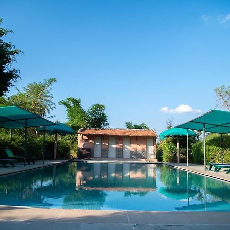 The Mountain Retreat Hotel Tiruvannámalaj Kültér fotó