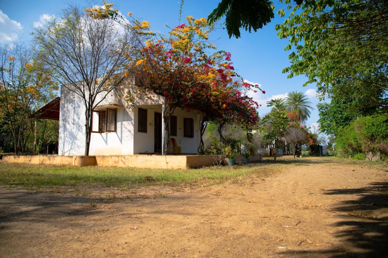 The Mountain Retreat Hotel Tiruvannámalaj Kültér fotó